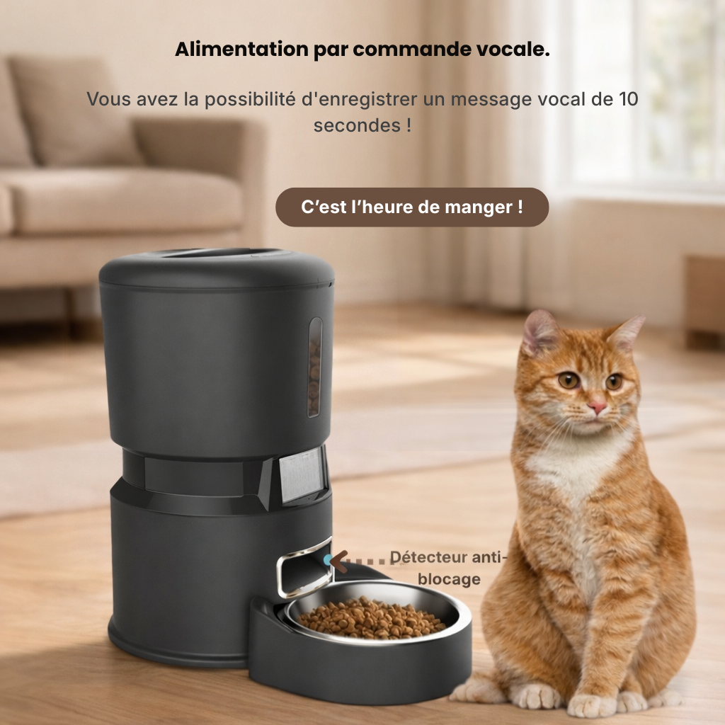 Distributeur à croquettes Petra