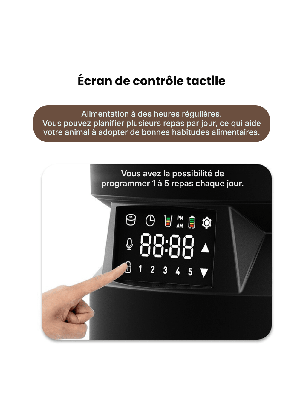 Distributeur à croquettes Petra - Petra